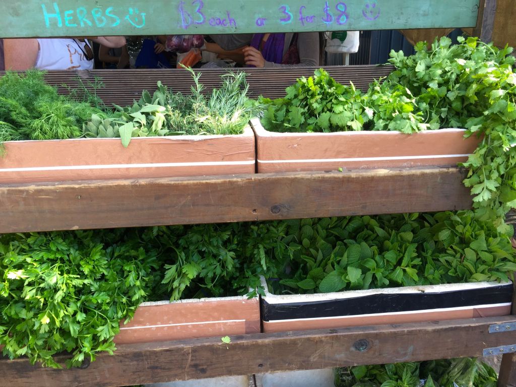 Kawana Waters Farmer’s&nbsp;Market