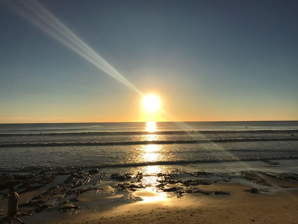 22 things I’ve learnt about living on the Sunshine&nbsp;Coast…