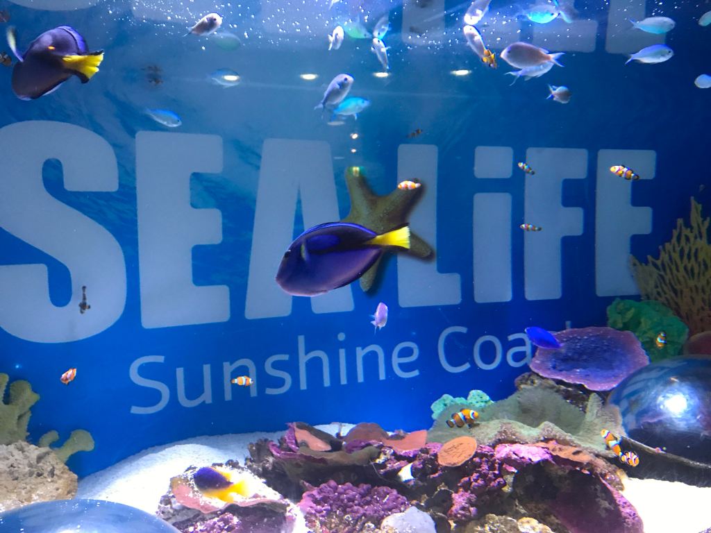 Mooloolaba Sea life…Underwater World