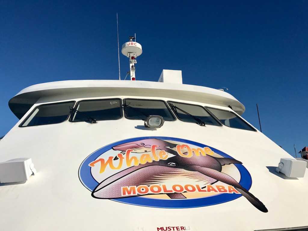 Whale-watching with Whale One at&nbsp;Mooloolaba