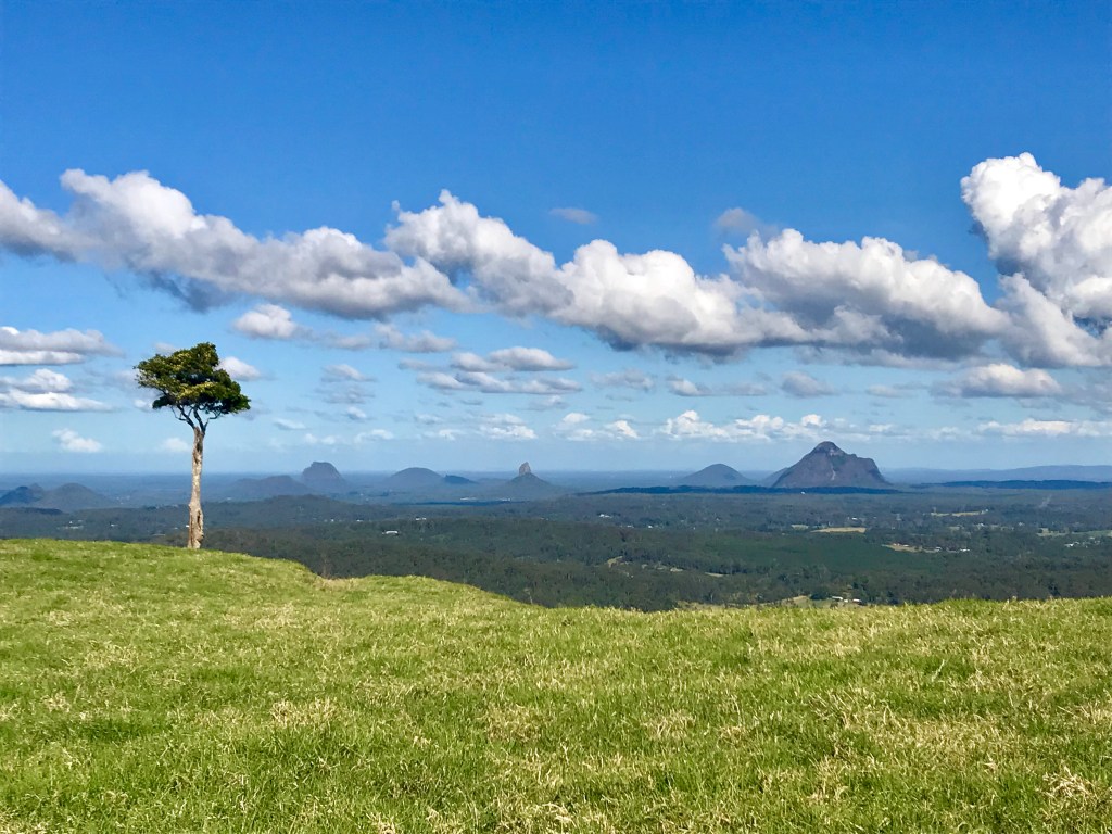 One Tree Hill,&nbsp;Maleny