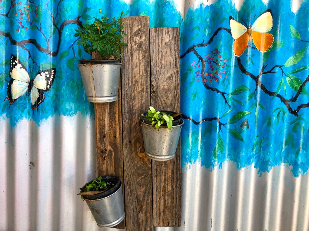 Sweethearts at Eudlo