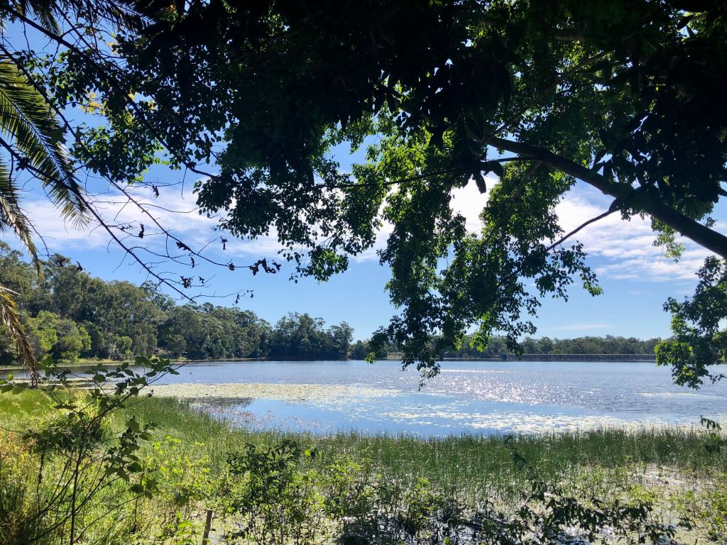 Noosa Botanical Gardens and Lake&nbsp;MacDonald